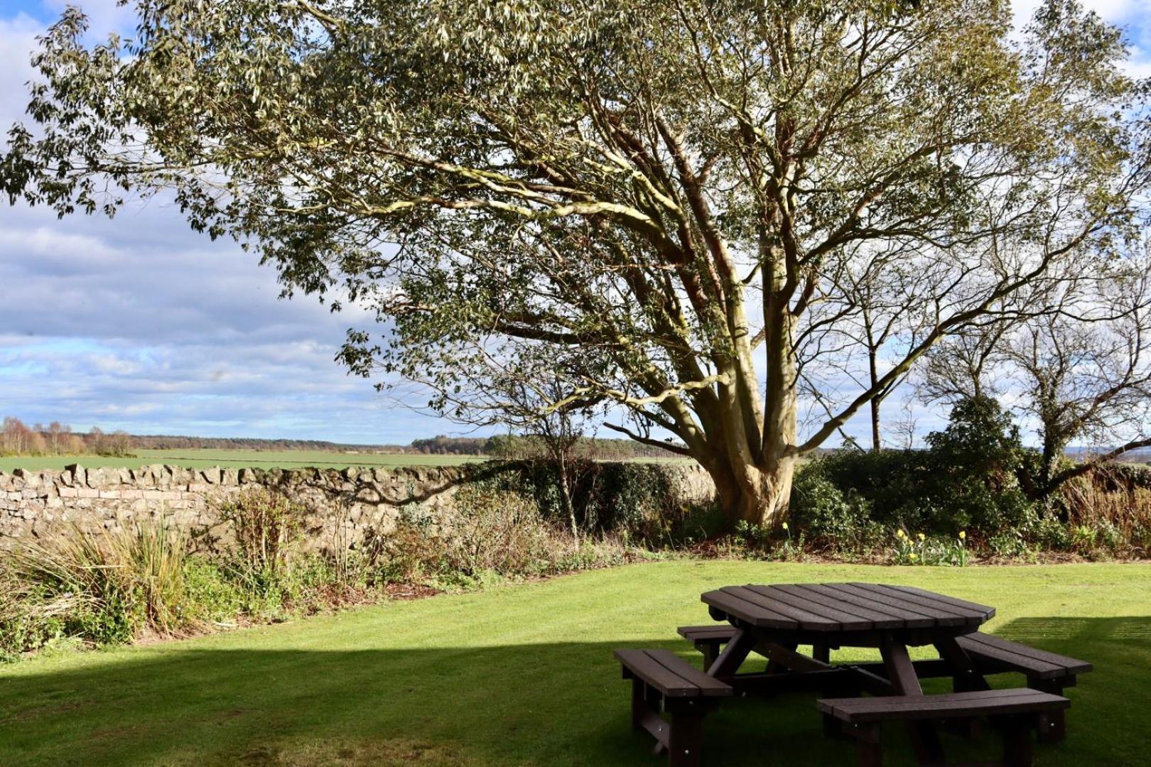 Vicarsford Farmhouse With Hot Tub Leuchars Dış mekan fotoğraf